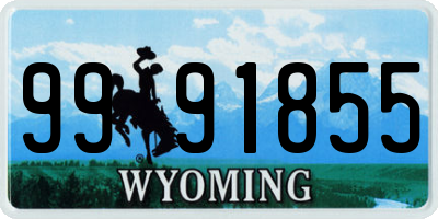 WY license plate 9991855