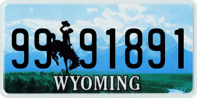 WY license plate 9991891