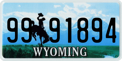WY license plate 9991894