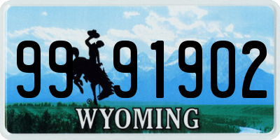 WY license plate 9991902