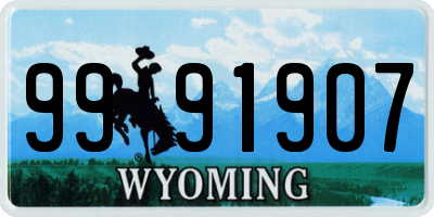 WY license plate 9991907