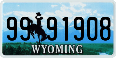 WY license plate 9991908