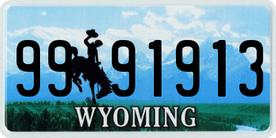 WY license plate 9991913