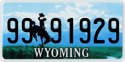 WY license plate 9991929