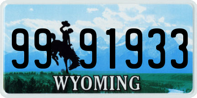 WY license plate 9991933