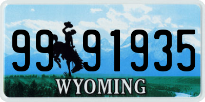 WY license plate 9991935