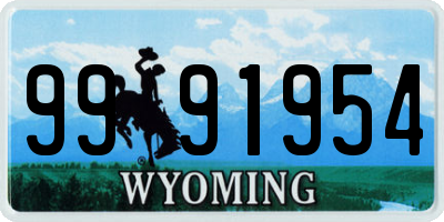 WY license plate 9991954