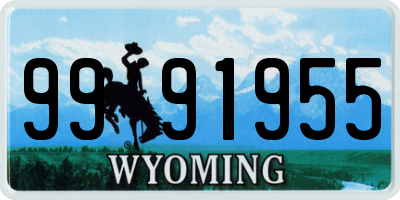 WY license plate 9991955