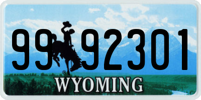 WY license plate 9992301