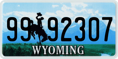 WY license plate 9992307