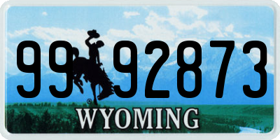 WY license plate 9992873