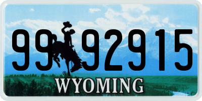 WY license plate 9992915