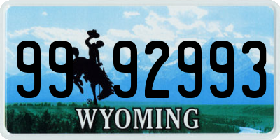 WY license plate 9992993