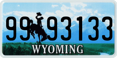 WY license plate 9993133