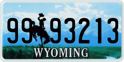 WY license plate 9993213