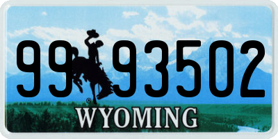 WY license plate 9993502