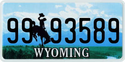 WY license plate 9993589
