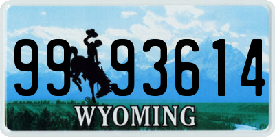 WY license plate 9993614