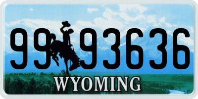 WY license plate 9993636