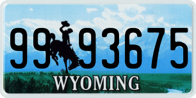 WY license plate 9993675