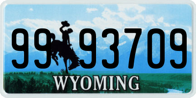 WY license plate 9993709