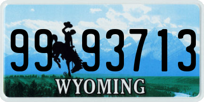 WY license plate 9993713