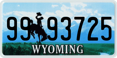 WY license plate 9993725