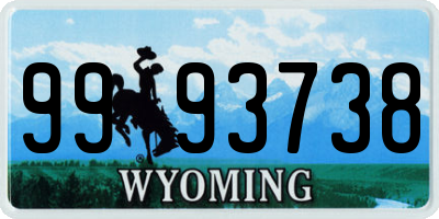 WY license plate 9993738