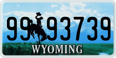 WY license plate 9993739