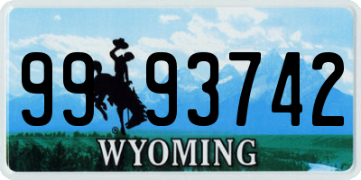 WY license plate 9993742
