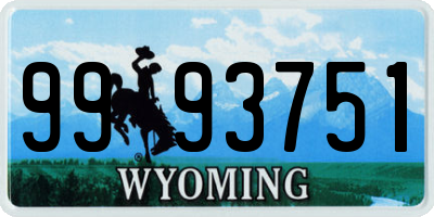 WY license plate 9993751