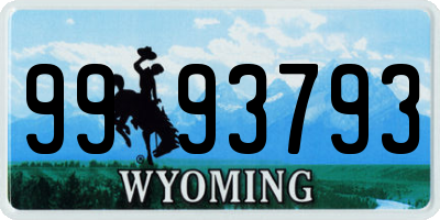 WY license plate 9993793