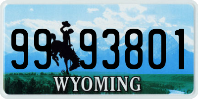 WY license plate 9993801