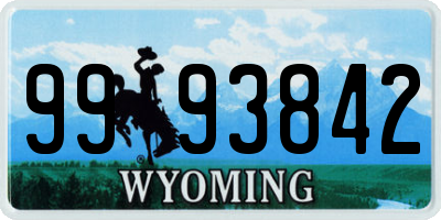 WY license plate 9993842