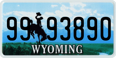 WY license plate 9993890