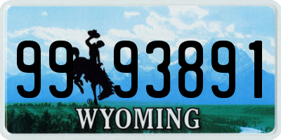 WY license plate 9993891