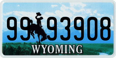 WY license plate 9993908