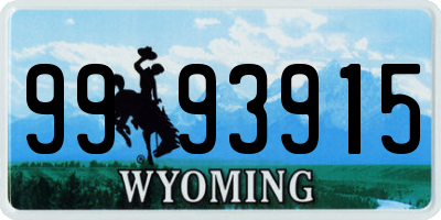 WY license plate 9993915