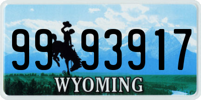 WY license plate 9993917