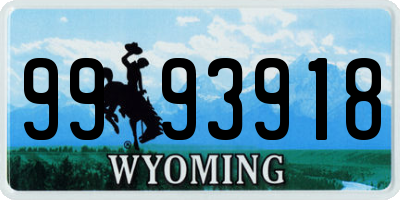 WY license plate 9993918