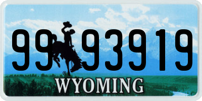 WY license plate 9993919