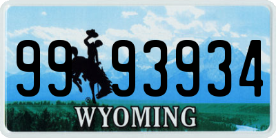 WY license plate 9993934