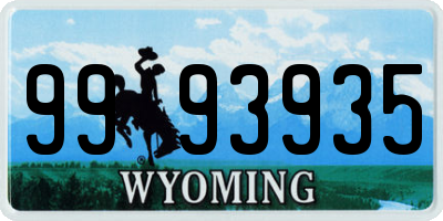 WY license plate 9993935