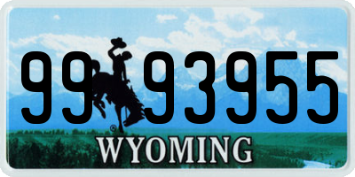 WY license plate 9993955