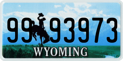 WY license plate 9993973