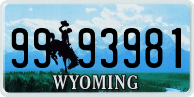 WY license plate 9993981