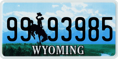 WY license plate 9993985