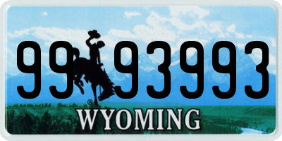 WY license plate 9993993