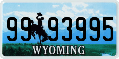 WY license plate 9993995