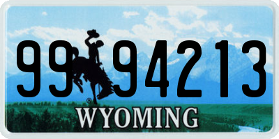 WY license plate 9994213